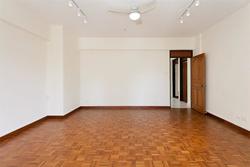 Nadia Mansions (D12), Apartment #166866052